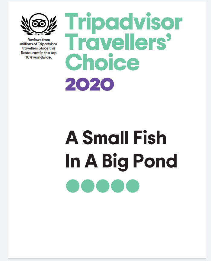 trip-advisor-small-fish